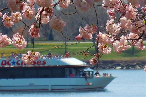 Potomac River Cherry Blossom and Monuments Narrated Cruise 2024 ...