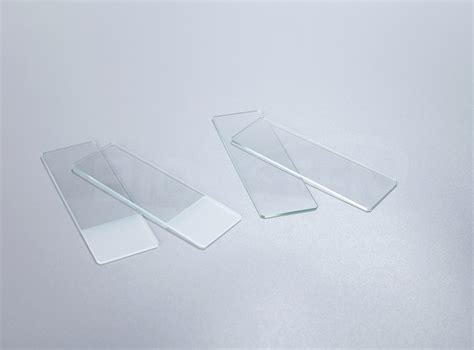 Microscope Slides - SeenGroup