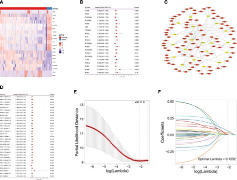 Frontiers A Necroptosis Related Lncrna Signature Was Identified To