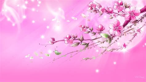 🔥 Download High Definition Pink Wallpaper Background For by @msmith57 | Pink Backgrounds, Pink ...