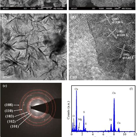 A And B Field Emission‐scanning Electron Microscopy Fe‐sem