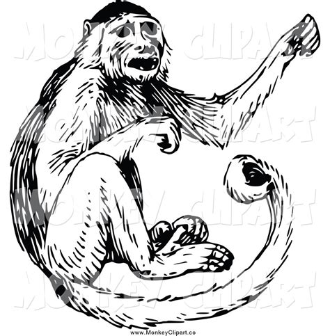 Monkey black and white clip art of a black and white monkey by prawny ...