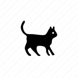 Pussy Iconfinder