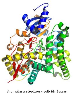 Structure of Aromatase Determined – Drug Discovery Opinion