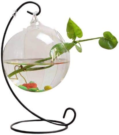 SHOBHANA ENTERPRISES Crystal Clear Glass Fish Or Terrarium Round Bowl