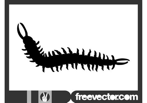 Centipede Vector At Getdrawings Free Download