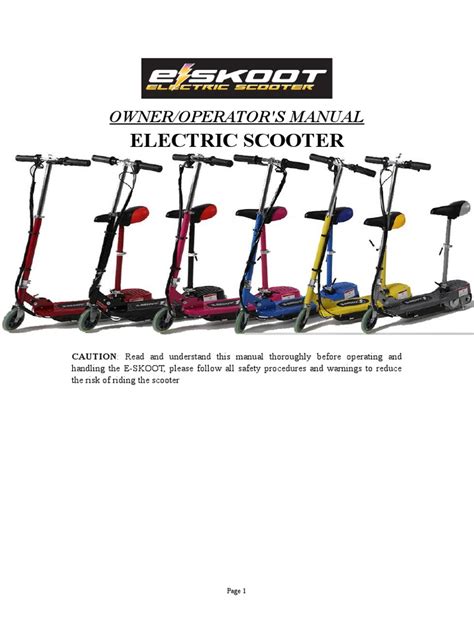 Electric Scooter Manual | PDF | Battery Charger | Ac Power Plugs And Sockets