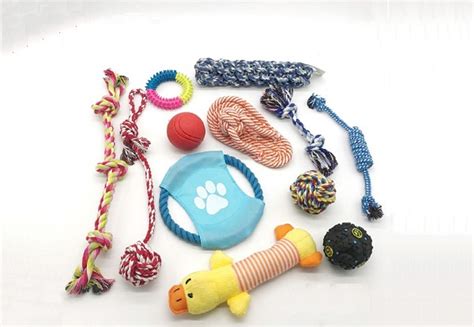 Dog Chew Toys • GrabOne NZ