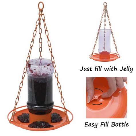 Oriole Jelly Feeder Jelly Jelly Jars Grape Jelly