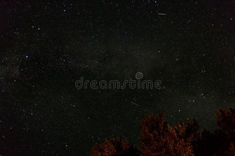 Starry dark night sky stock photo. Image of astronomy - 261635590