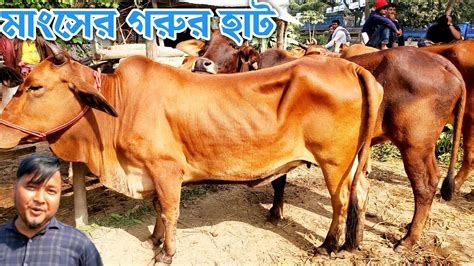 মাংসের গরুর হাট কুমিল্লা জেলা বরুড়া থানা আড্ডা গরু বাজার Youtube