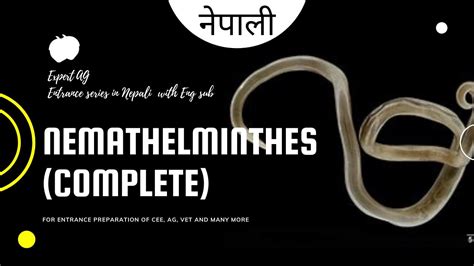 Nemathelminthes Examples