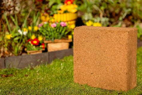 Peat Free Coir Compost | Coco soil for all gardening applications