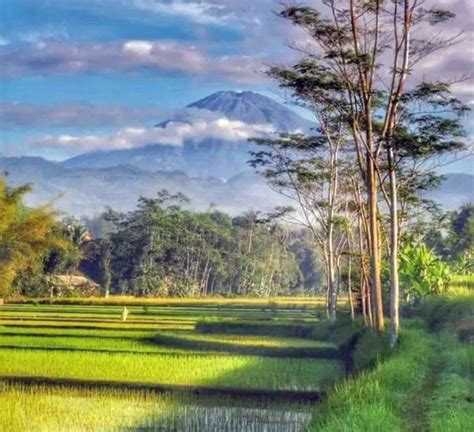 Gunung Semeru Inilah Gambar Keindahannya Sebelum Erupsi