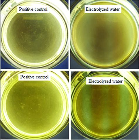 Effect of electrolyzed water at pH 2.5 on the growth of... | Download ...