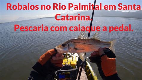 Primeira Pescaria O Caiaque Tarpon No Rio Palmital Em Garuva Sc