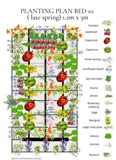 Pin By Amazone Catuogno On Diy Core In 2024 Vegetable Garden Design Starting A Vegetable