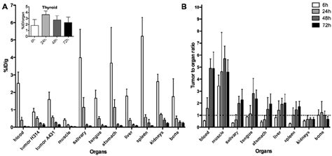 A Biodistribution And B A431 Tumor To Organ Ratios Of 125