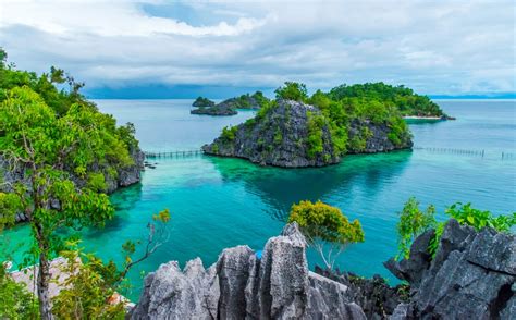 indonesian island  sulawesi   evolutionary puzzle discover