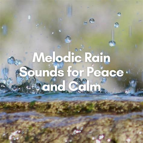 Melodic Rain Sounds For Peace And Calm Album By Rain Sounds And Nature