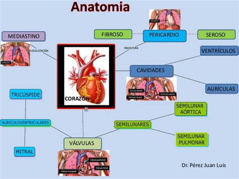 Cuadros Sin Pticos Sobre El Coraz N Humano Cuadro Comparativo