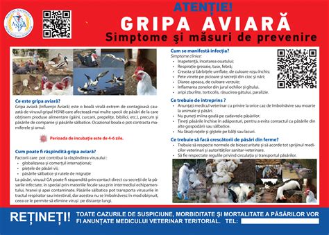 Aten Ie Gripa Aviar Simtome I M Suri De Prevenire Prim Ria