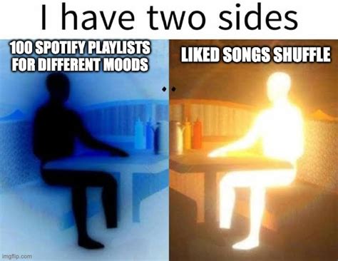 Spotify In A Nutshell Imgflip