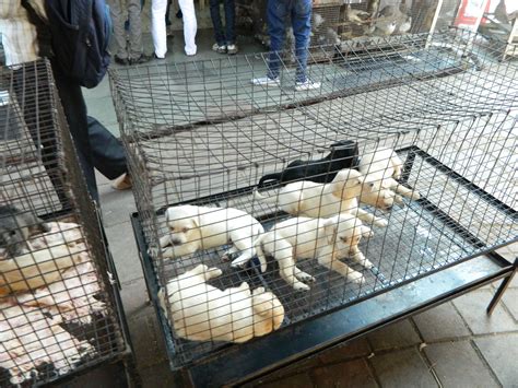 craigslist anchorage alaska 3