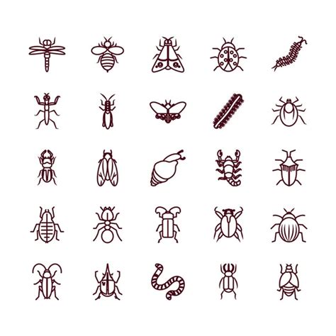 Insects Bugs Vector Icons Set Modern Solid Symbol Collection Filled