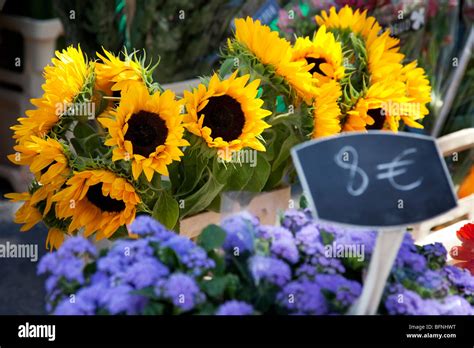 Market day in Saint Remy de-Provence France Stock Photo - Alamy