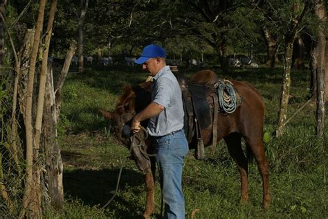 Contraloría ofrece empleos para Censo Agropecuario 2024