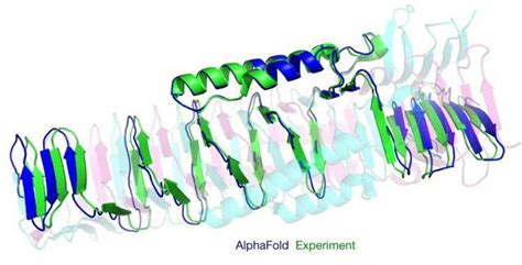 Nature封面 Alphafold将多方面推动结构生物学的发展蛋白质结构蛋白质生物学新浪新闻