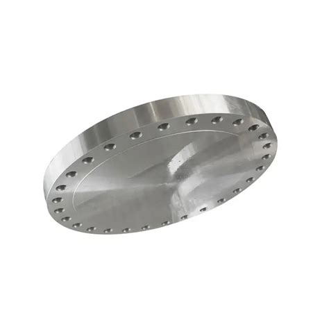 Forged Stainless Steel Sus Jis K Flat Face Plate Stub End