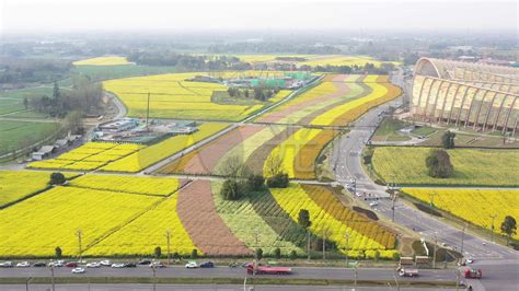 （航拍）成都市天府农业博览园油菜花开3840x2160高清视频素材下载编号7493286实拍视频光厂vj师网