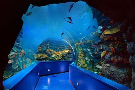 I wanna Express (iWep): Visit to Sharjah Aquarium