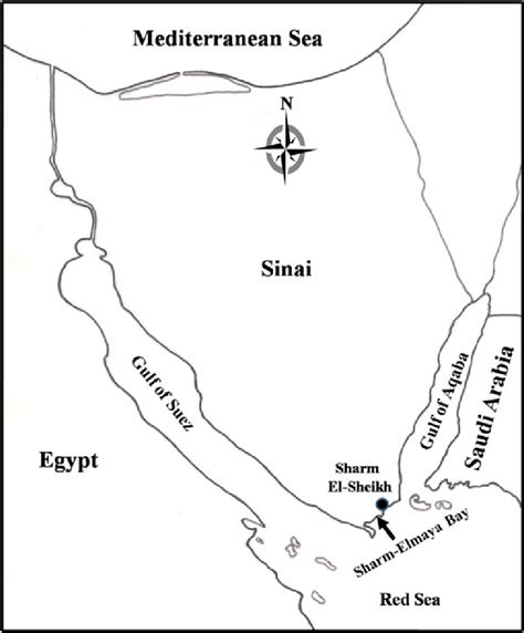 Map Of The Sinai Peninsula Egypt Showing The Location Of Sharm Elmaya Download Scientific