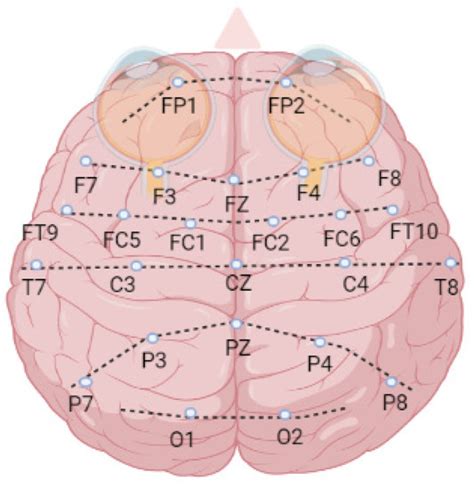 Sensors Free Full Text A Novel Permutation Entropy Based Eeg