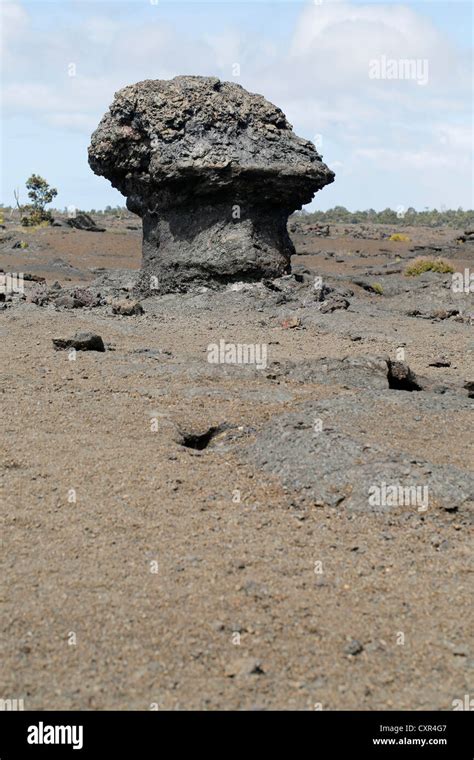 Hornitos Champignons Forme Comme De La Formations De Lave Mauna Ulu