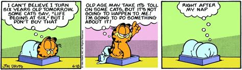 10 Funniest Garfield Comics That Just Turned 40 In June 2024