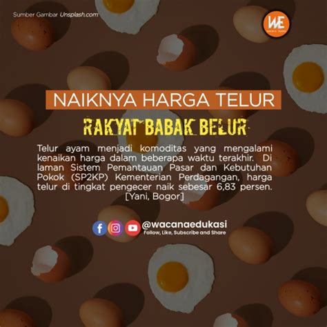 Naiknya Harga Telur Rakyat Babak Belur Wacana Edukasi