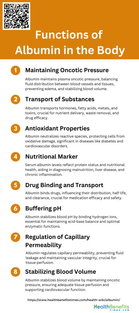 Functions of Albumin in the Body | Health Benefits