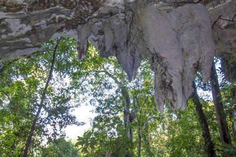 Caves in Mulu National Park, Sarawak, Borneo, Malaysia Stock Image - Image of heritage, caves ...