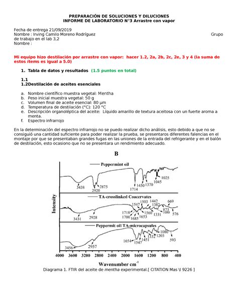 Guía Calificación Informe 3 Org1 PreparaciÓn De Soluciones Y