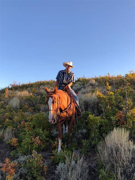 Horse Ride Utah Blog Horse Ride Utah