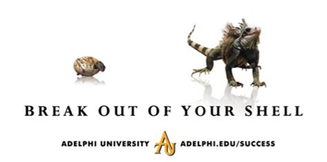 Adelphi University – Phoenixdesignworks.com