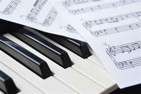 Essential Piano Chords Every Beginner Should Know By Heart