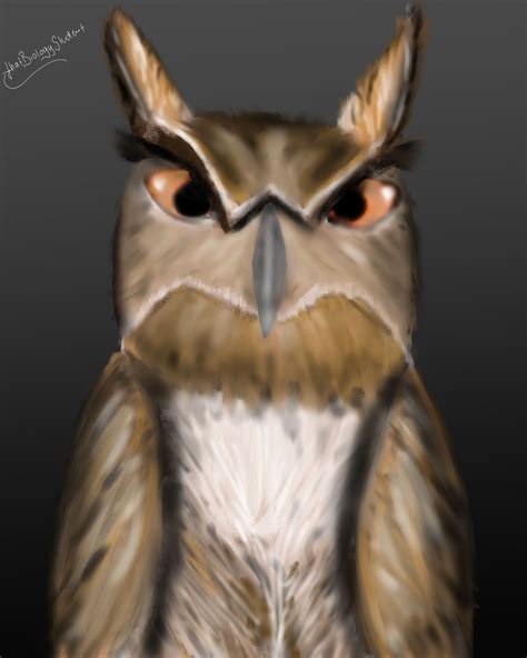 An extremly angry looking owl by thatBiologyStudent on DeviantArt