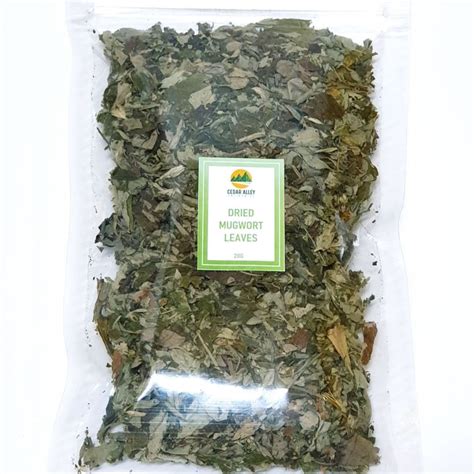 Dried Mugwort Leaves Grams Lazada Ph