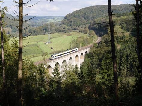 Wandern Paderborner Höhenweg mit Erweiterung Tour 136233