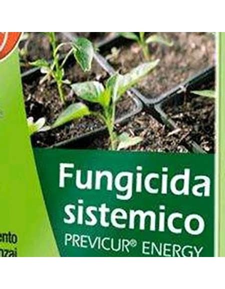 Bayer Previcur Energy Fungicida Sistemico Gardenstuff